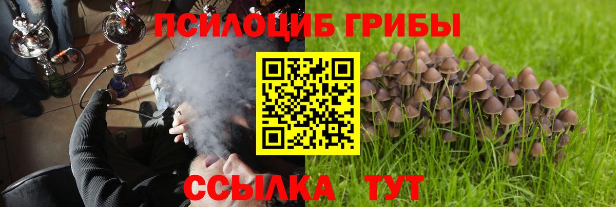 Галлюциногенные грибы MAGIC MUSHROOMS  Псилоцибиновые грибы GOLDEN TEACHER  Вход с VPN  Тара 